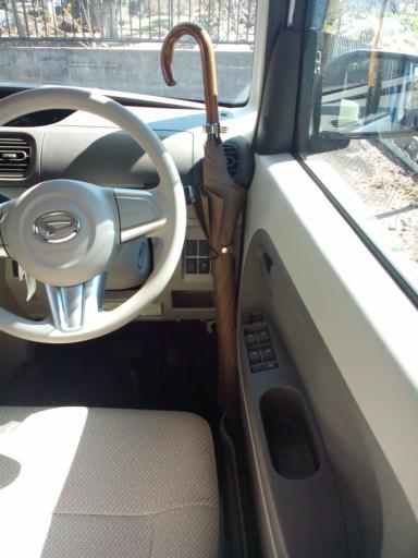 �^���g�̎P���[