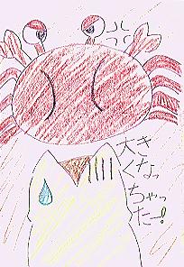 �傫���Ȃ���������[