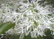 ��������񂶂�