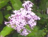 ���͂��ǂ�