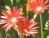 �������������p