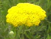 ���ԋ���