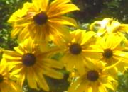 �e�є�����