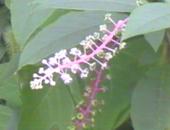 �m��R����