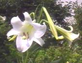 �����S��