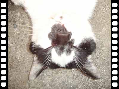 $BG-<L??(B