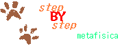 Step by Step - METAFISICA